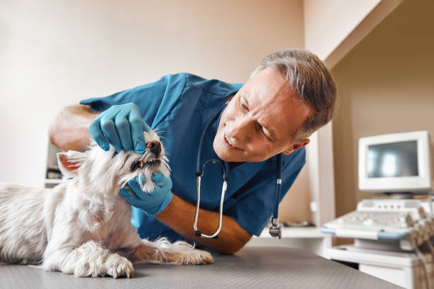 Best Emergency Denture Repair in Manchaca, TX